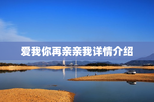 爱我你再亲亲我详情介绍
