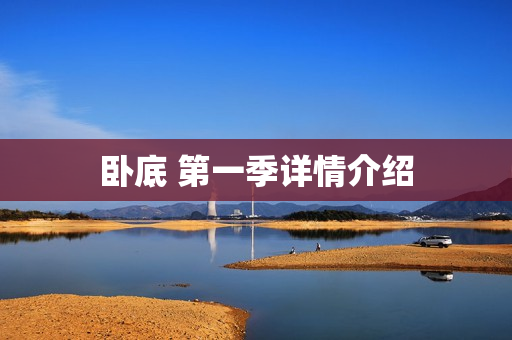 卧底 第一季详情介绍