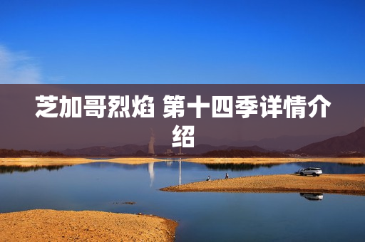 芝加哥烈焰 第十四季详情介绍