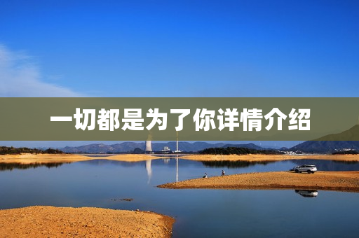 一切都是为了你详情介绍