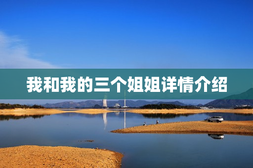 我和我的三个姐姐详情介绍