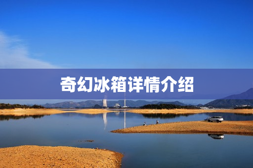 奇幻冰箱详情介绍