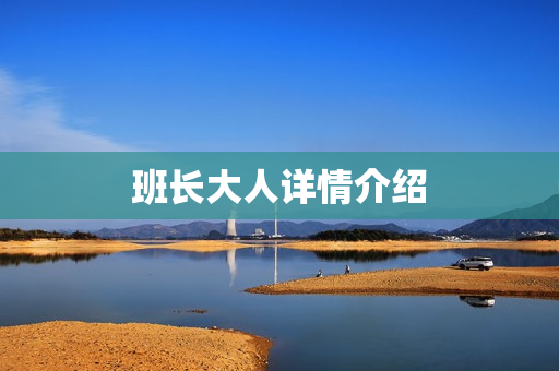 班长大人详情介绍
