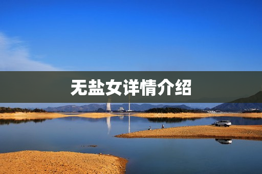 无盐女详情介绍