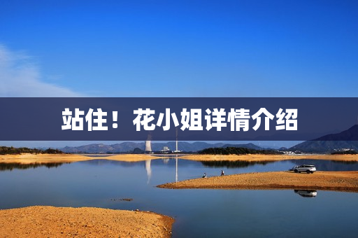 站住！花小姐详情介绍