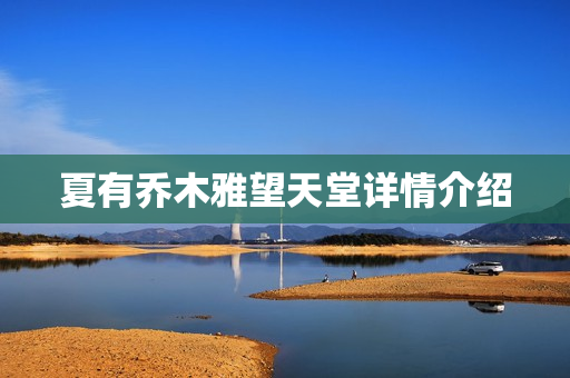 夏有乔木雅望天堂详情介绍