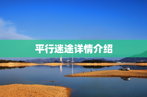 平行迷途详情介绍