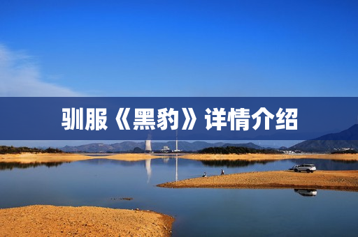 驯服《黑豹》详情介绍