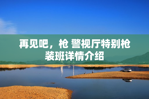 再见吧，枪 警视厅特别枪装班详情介绍