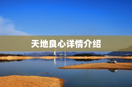 天地良心详情介绍