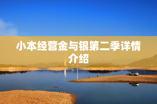 小本经营金与银第二季详情介绍