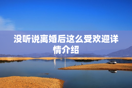 没听说离婚后这么受欢迎详情介绍