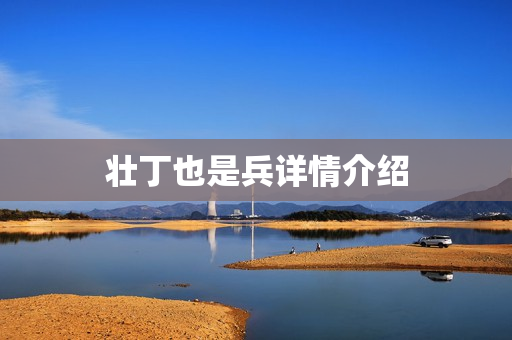 壮丁也是兵详情介绍