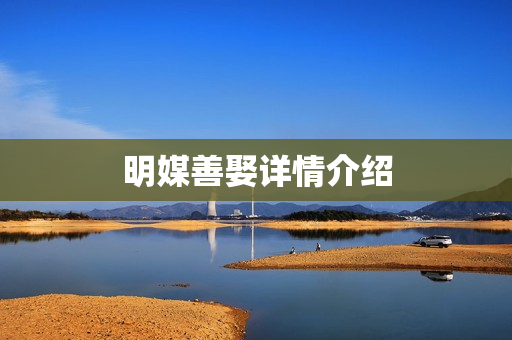 明媒善娶详情介绍