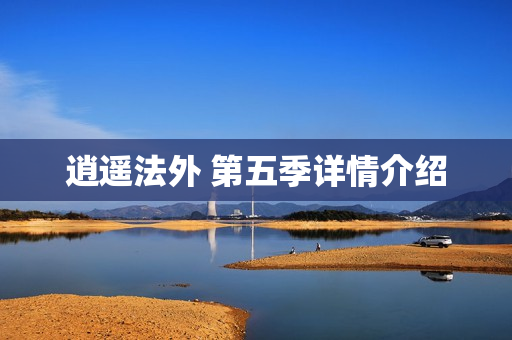 逍遥法外 第五季详情介绍