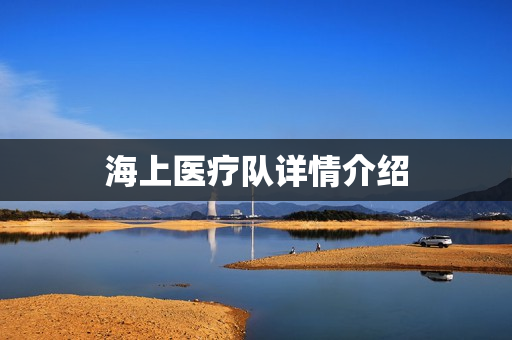 海上医疗队详情介绍