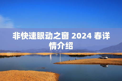 非快速眼动之窗 2024 春详情介绍