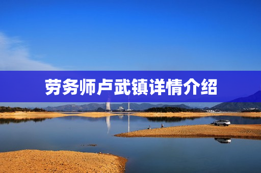 劳务师卢武镇详情介绍
