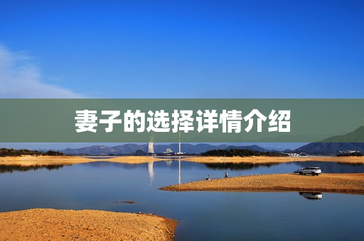 妻子的选择详情介绍