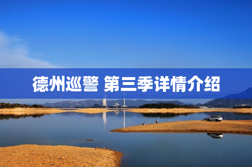 德州巡警 第三季详情介绍