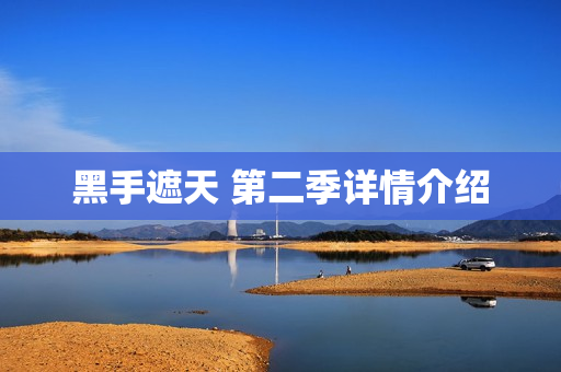 黑手遮天 第二季详情介绍