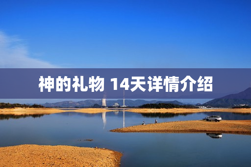 神的礼物 14天详情介绍