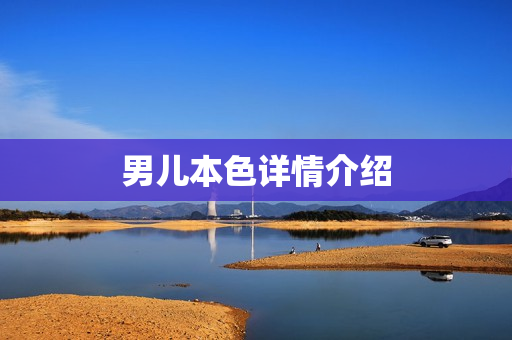 男儿本色详情介绍