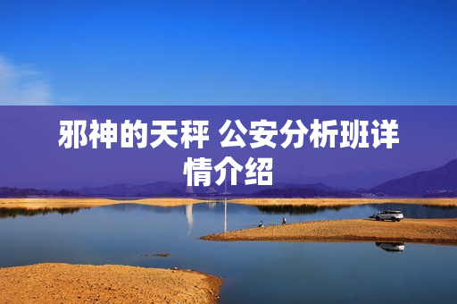 邪神的天秤 公安分析班详情介绍