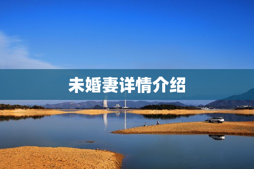 未婚妻详情介绍
