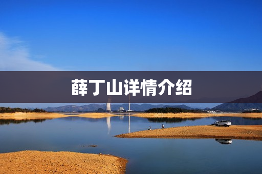 薛丁山详情介绍