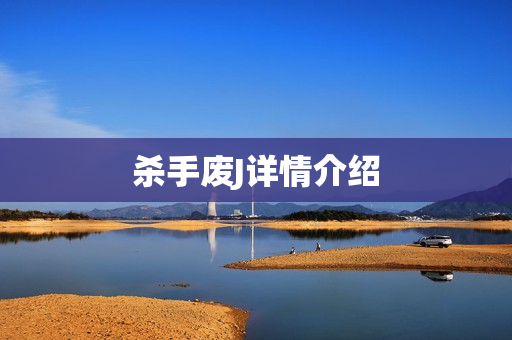 杀手废J详情介绍