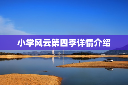 小学风云第四季详情介绍
