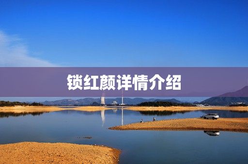 锁红颜详情介绍