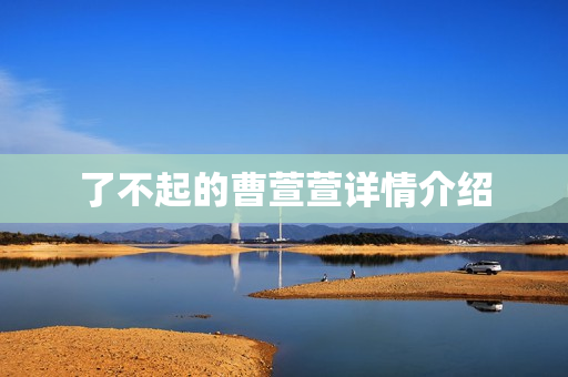 了不起的曹萱萱详情介绍