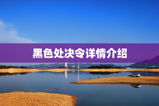 黑色处决令详情介绍