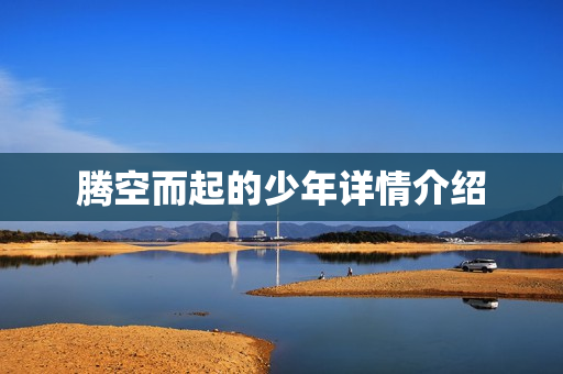 腾空而起的少年详情介绍