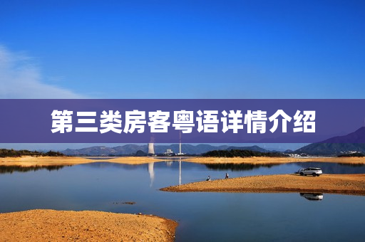 第三类房客粤语详情介绍