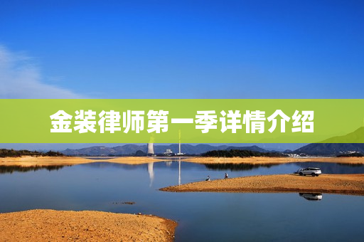 金装律师第一季详情介绍