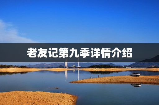 老友记第九季详情介绍