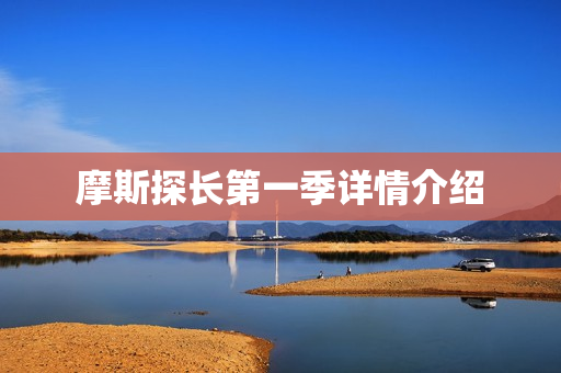 摩斯探长第一季详情介绍