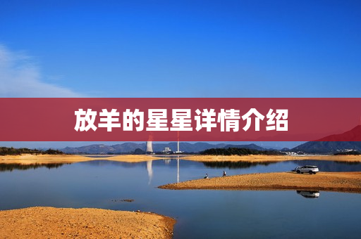 放羊的星星详情介绍