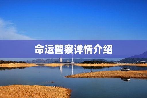 命运警察详情介绍