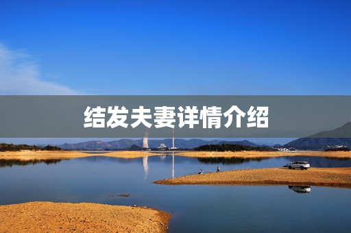 结发夫妻详情介绍