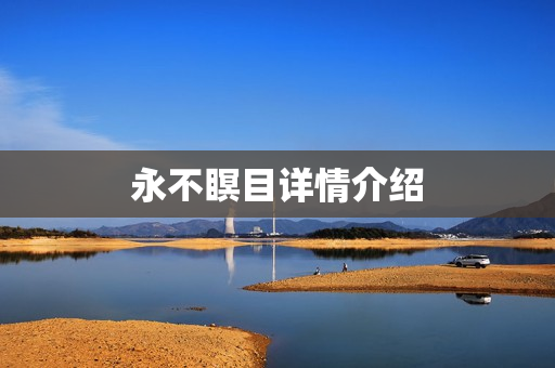 永不瞑目详情介绍