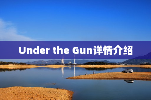 Under the Gun详情介绍