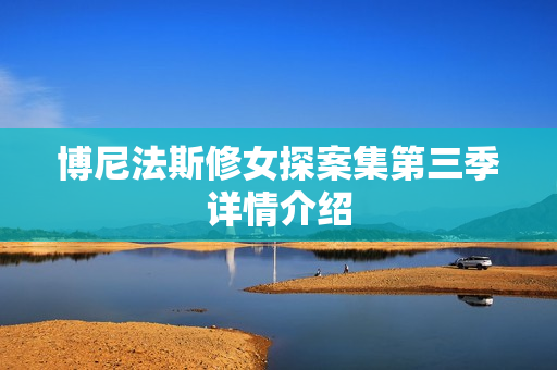 博尼法斯修女探案集第三季详情介绍