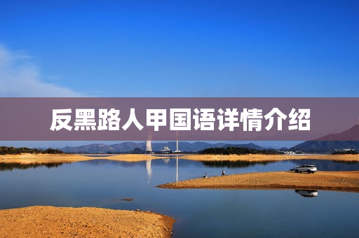 反黑路人甲国语详情介绍