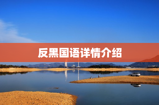 反黑国语详情介绍