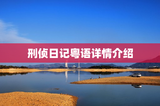 刑侦日记粤语详情介绍
