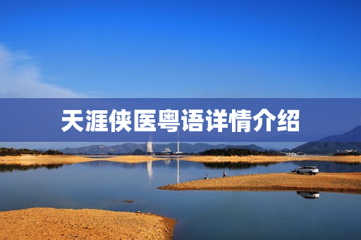 天涯侠医粤语详情介绍
